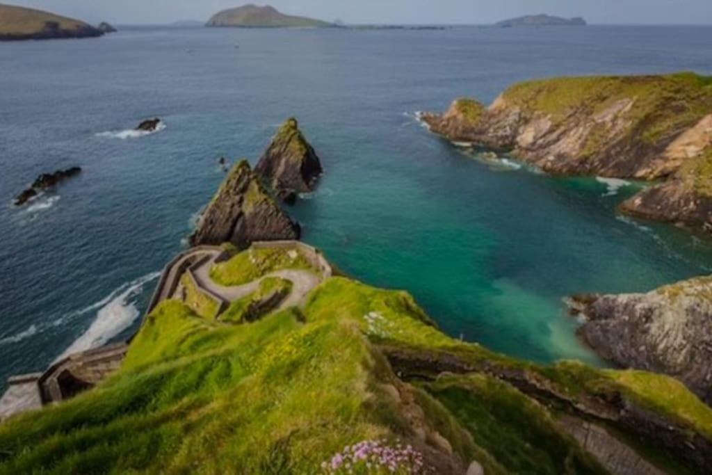 The Haven Dingle, Self Catering Accommodation Eksteriør bilde