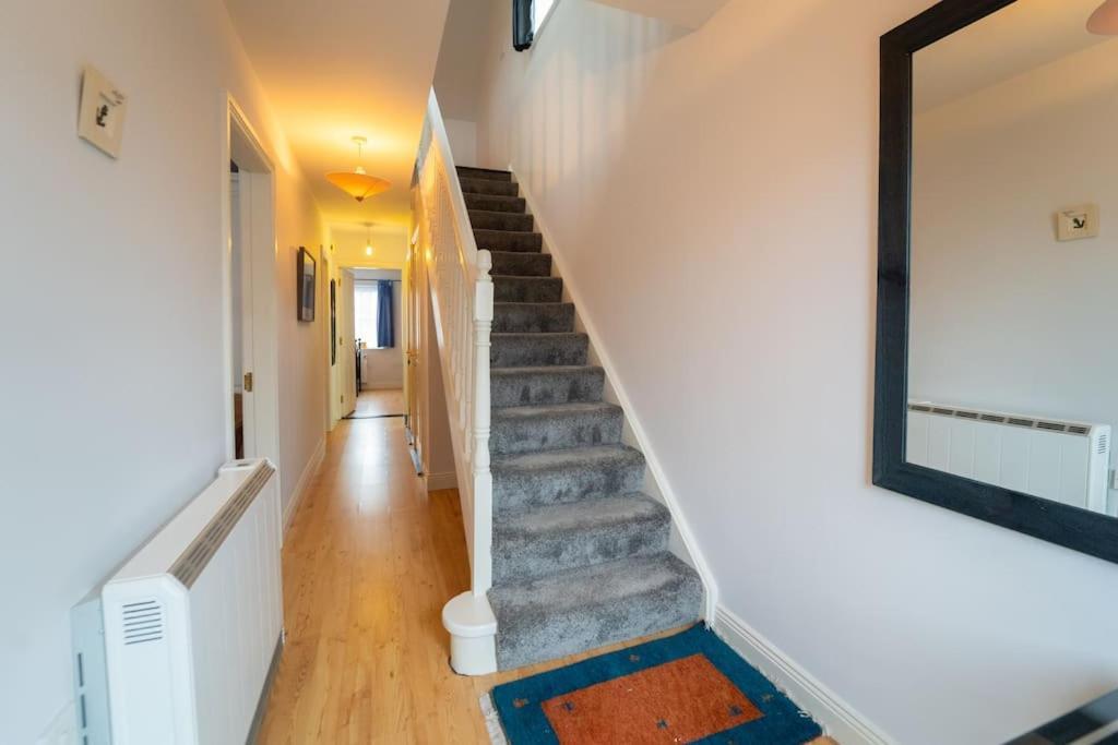 The Haven Dingle, Self Catering Accommodation Eksteriør bilde